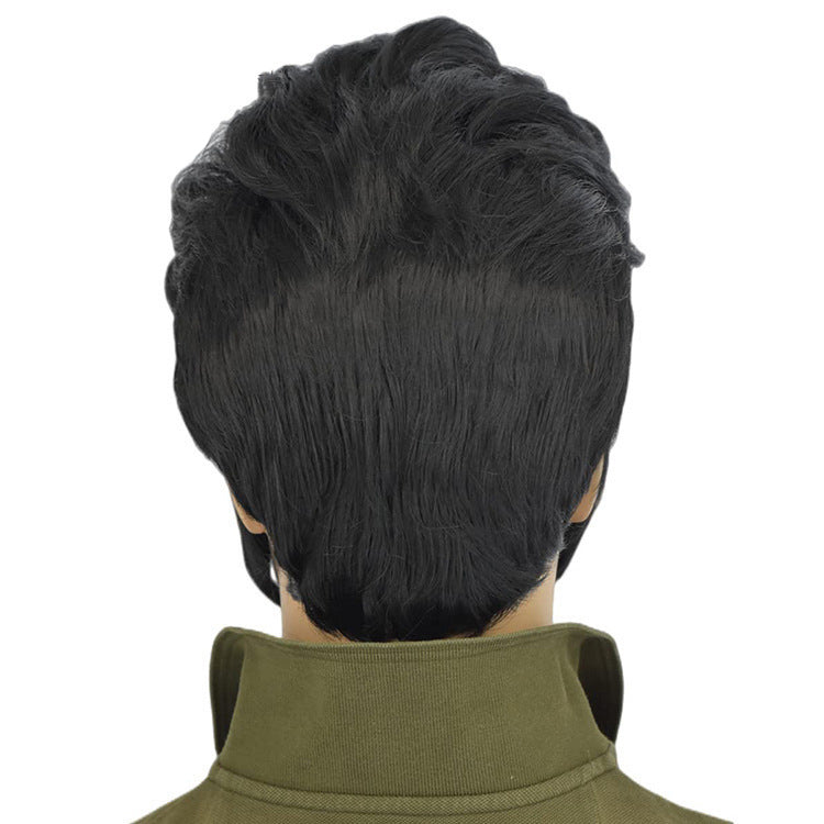 Elviswigcos Elvis rock wig export foreign trade men's black Halloween Christmas party wig