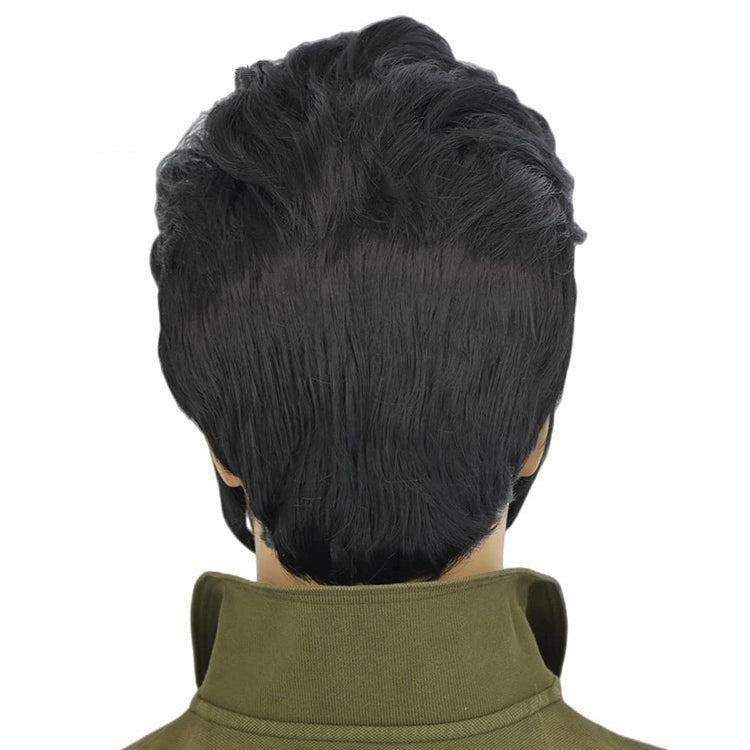 Elvis Rock Wig Men's Black Halloween Christmas Party Wig