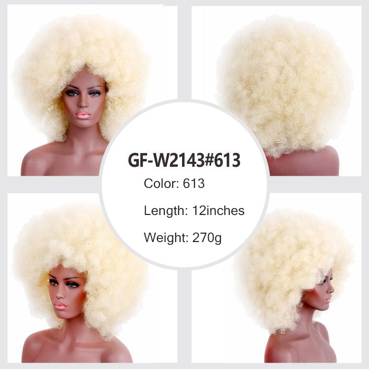 Kanekalon Synthetic Afro Wig
