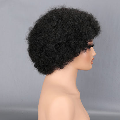 Afro Curly Human Hair Wig 200% Density Natural Black Full Afro Kinky Curly Hair Pouf Wig for Women BOSQUE Beauty