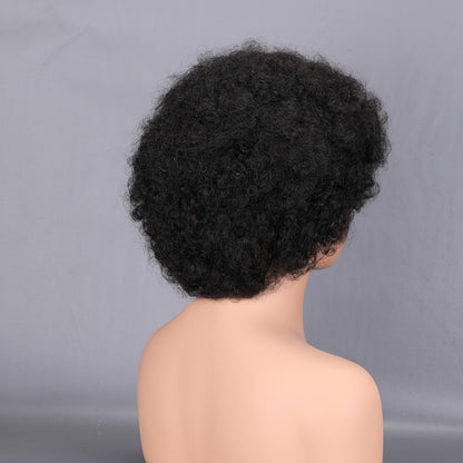 Afro Curly Human Hair Wig 200% Density Natural Black Full Afro Kinky Curly Hair Pouf Wig for Women BOSQUE Beauty