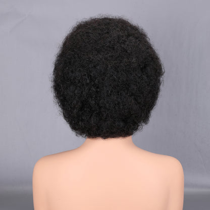 Afro Curly Human Hair Wig 200% Density Natural Black Full Afro Kinky Curly Hair Pouf Wig for Women BOSQUE Beauty