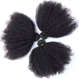 Afro Curly Human Hair Bundles for Women High Density Fluffy Kinky Curly Weave BOSQUE Beauty